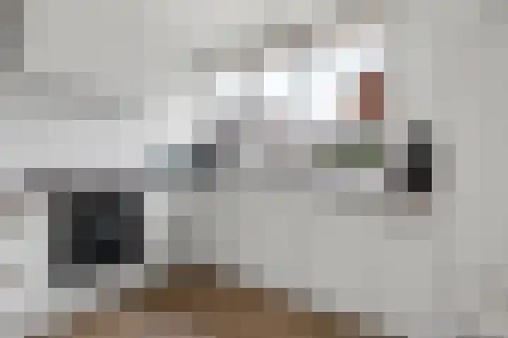 Hanenslag 19 Geesteren thumbnail 10