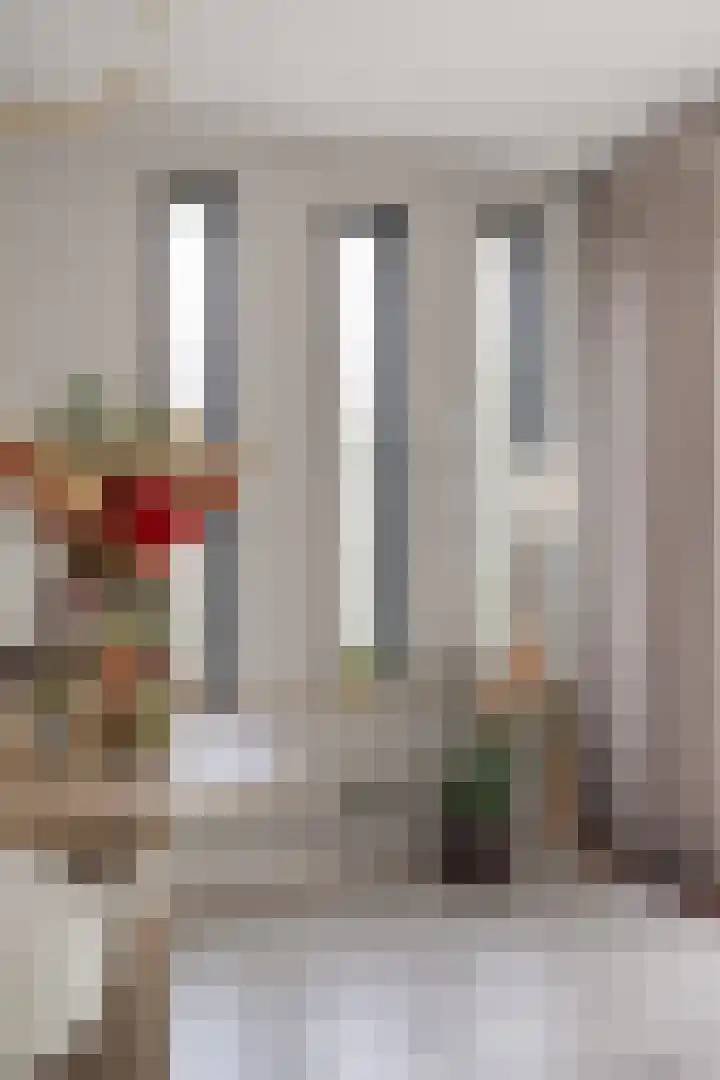 Hanenslag 19 Geesteren thumbnail 13