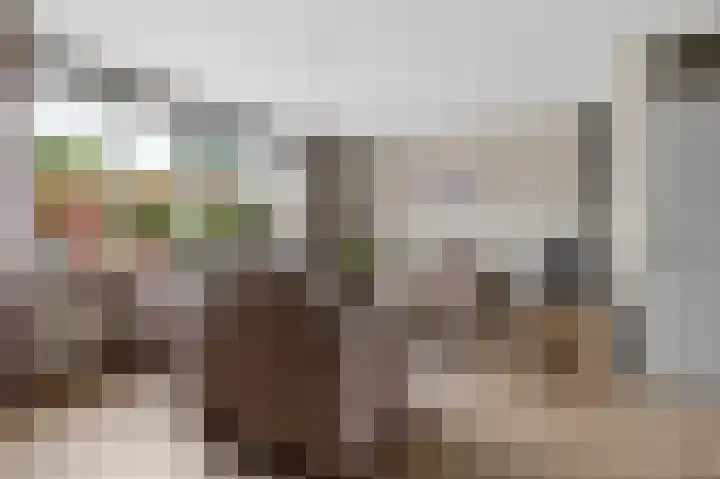 Hanenslag 19 Geesteren thumbnail 14