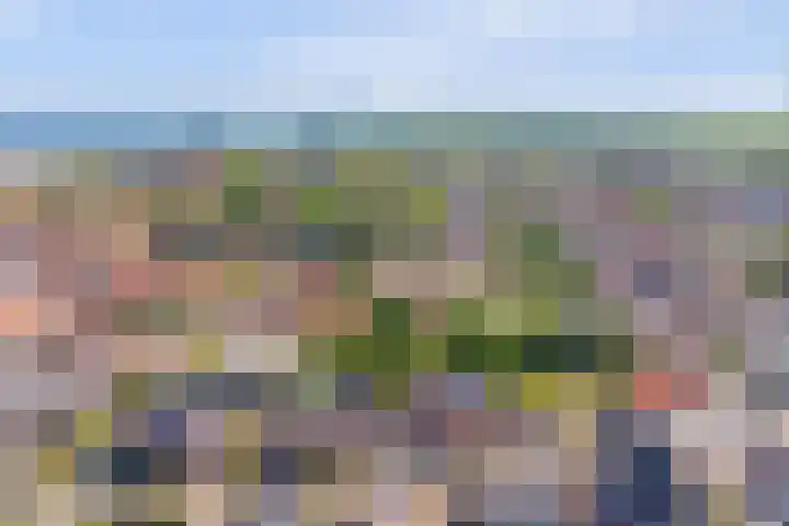 Hanenslag 19 Geesteren thumbnail 16