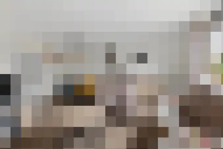 Hanenslag 19 Geesteren thumbnail 16