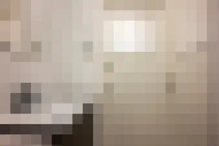 Hanenslag 19 Geesteren thumbnail 17