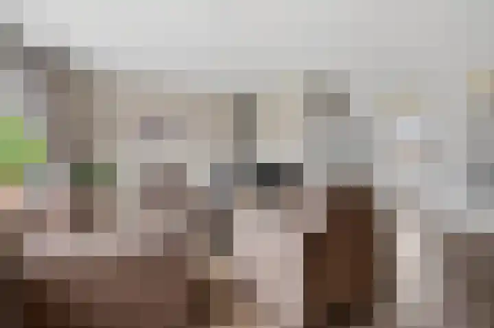 Hanenslag 19 Geesteren thumbnail 17