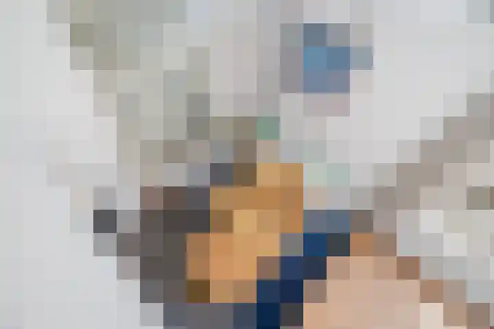 Hanenslag 19 Geesteren thumbnail 20