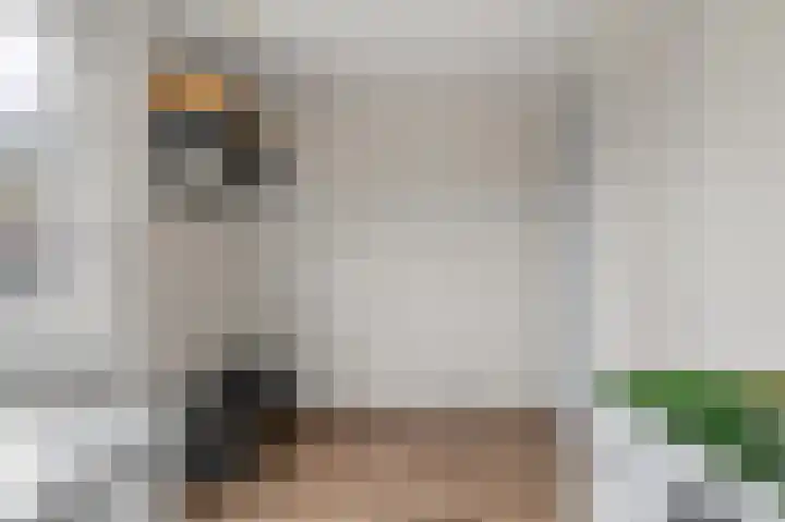 Hanenslag 19 Geesteren thumbnail 20