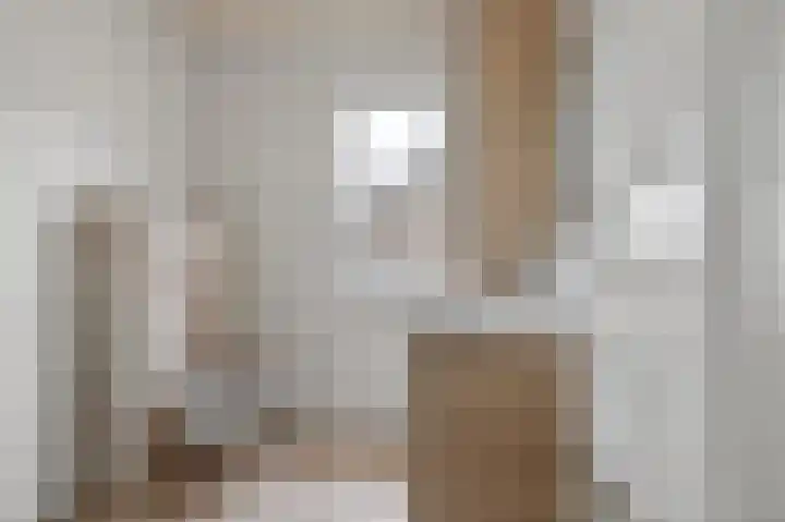Hanenslag 19 Geesteren thumbnail 22