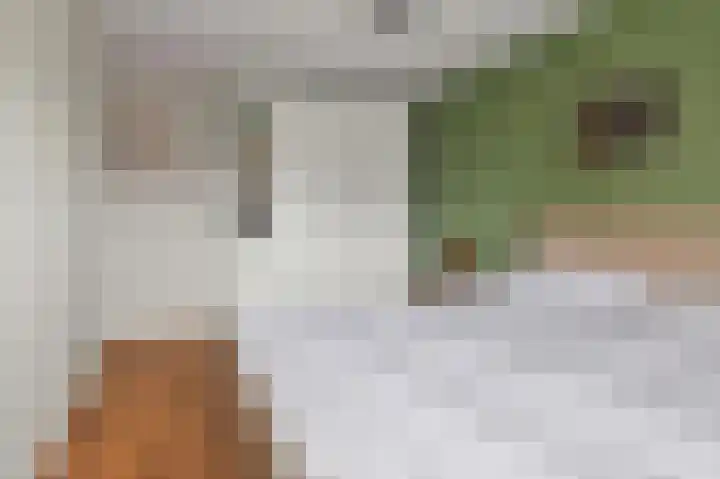 Hanenslag 19 Geesteren thumbnail 25