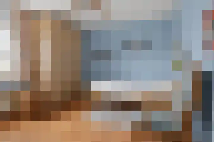 Hanenslag 19 Geesteren thumbnail 26