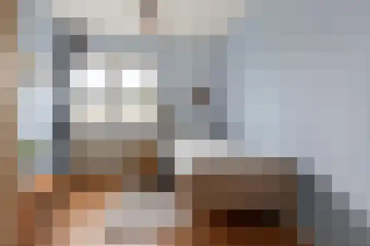 Hanenslag 19 Geesteren thumbnail 29