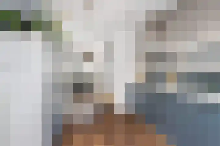 Hanenslag 19 Geesteren thumbnail 30