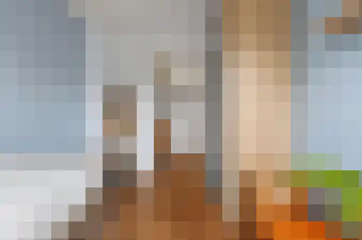 Hanenslag 19 Geesteren thumbnail 30