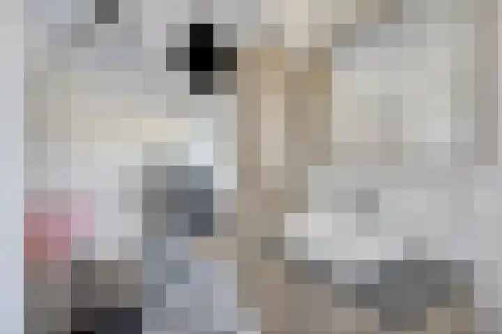 Hanenslag 19 Geesteren thumbnail 34
