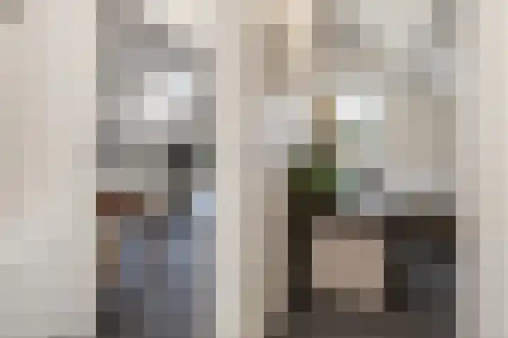 Hanenslag 19 Geesteren thumbnail 34