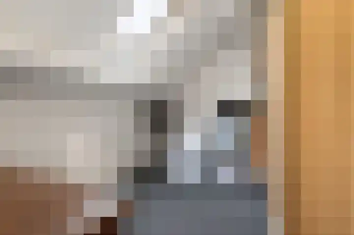 Hanenslag 19 Geesteren thumbnail 36
