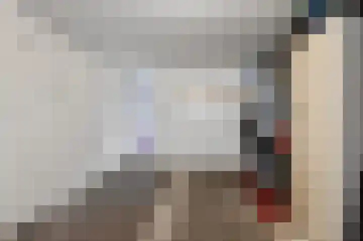 Hanenslag 19 Geesteren thumbnail 38