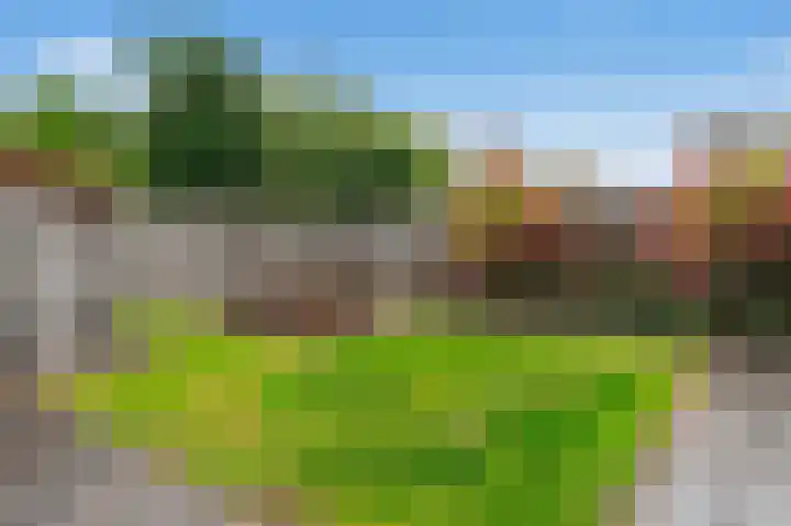 Hanenslag 19 Geesteren thumbnail 41