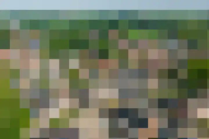 Hanenslag 19 Geesteren thumbnail 42
