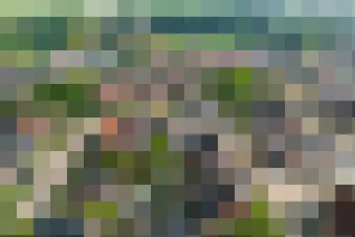 Hanenslag 19 Geesteren thumbnail 44