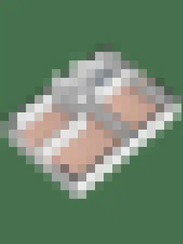 Hanenslag 19 Geesteren thumbnail 48