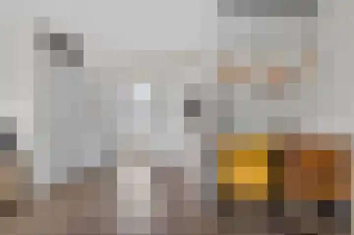 Hanenslag 19 Geesteren thumbnail 9