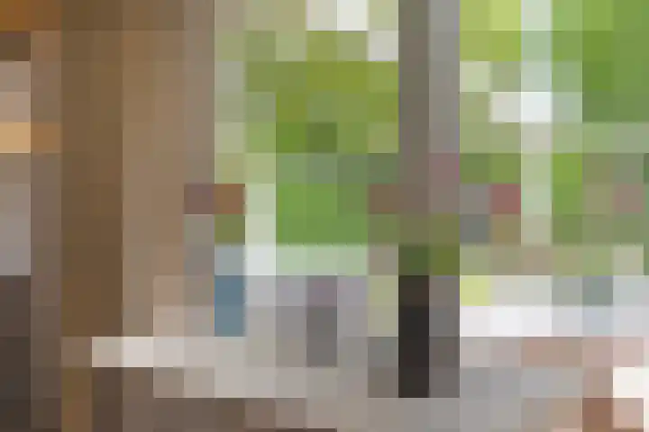 Hanenweg 27 Noordgouwe thumbnail 15