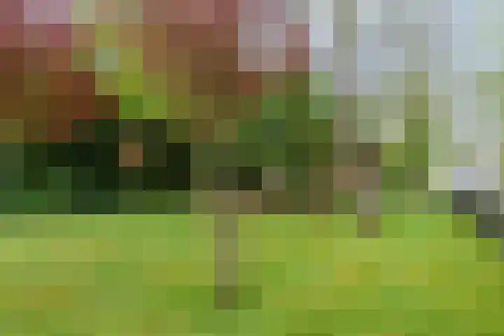 Hanenweg 27 Noordgouwe thumbnail 37
