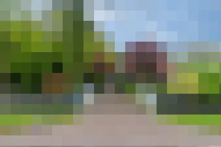 Hanenweg 27 Noordgouwe thumbnail 4