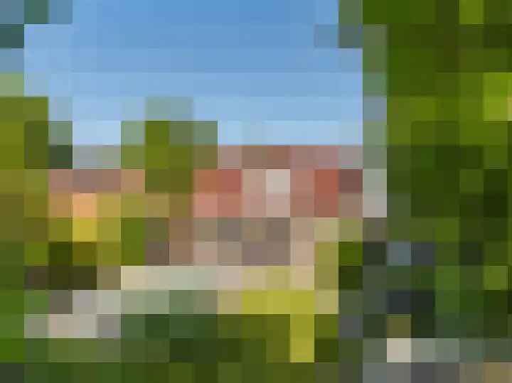 Hanenweg 27 Noordgouwe thumbnail 44