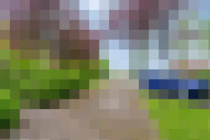 Hanenweg 27 Noordgouwe thumbnail 5