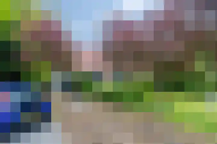 Hanenweg 27 Noordgouwe thumbnail 6