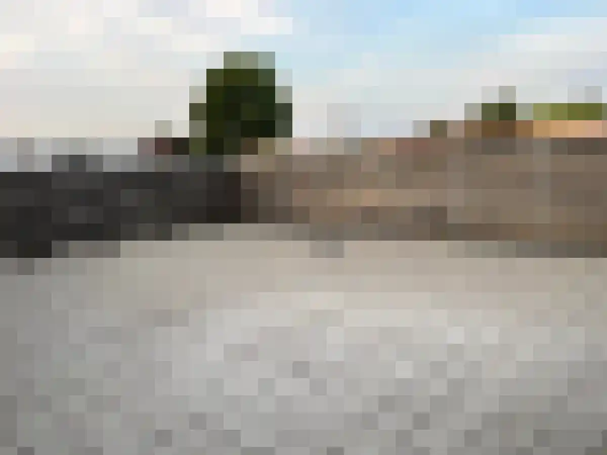 Hanepoel 74 Zwaanshoek thumbnail 5