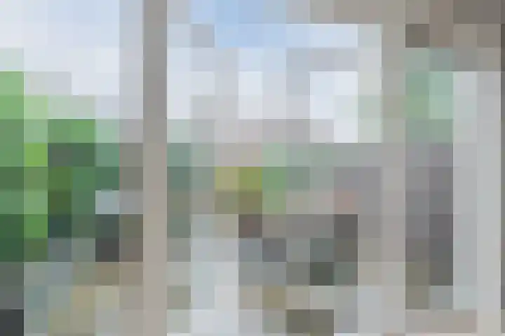 Hanepoelpad 6 Leiden thumbnail 13