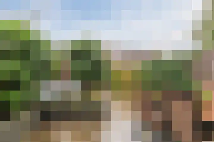 Hanepoelpad 6 Leiden thumbnail 14