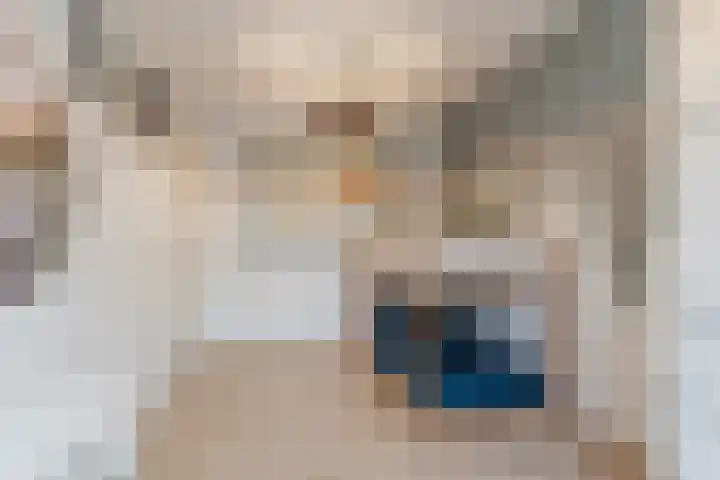 Hanepoelpad 6 Leiden thumbnail 24