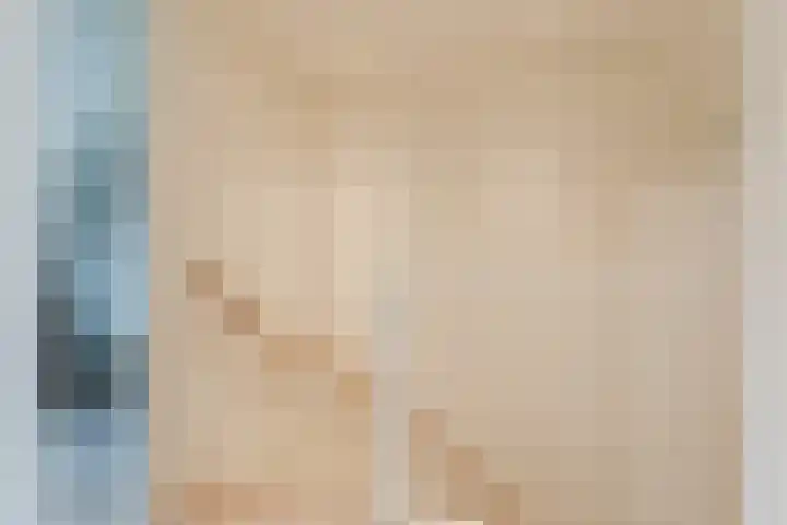 Hanepoelpad 6 Leiden thumbnail 33