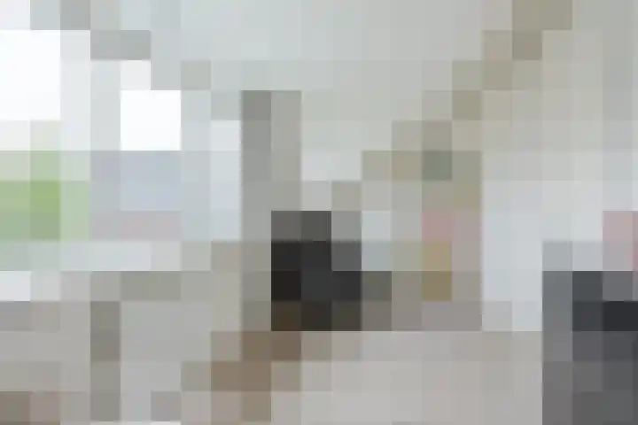Hanepoelpad 6 Leiden thumbnail 36
