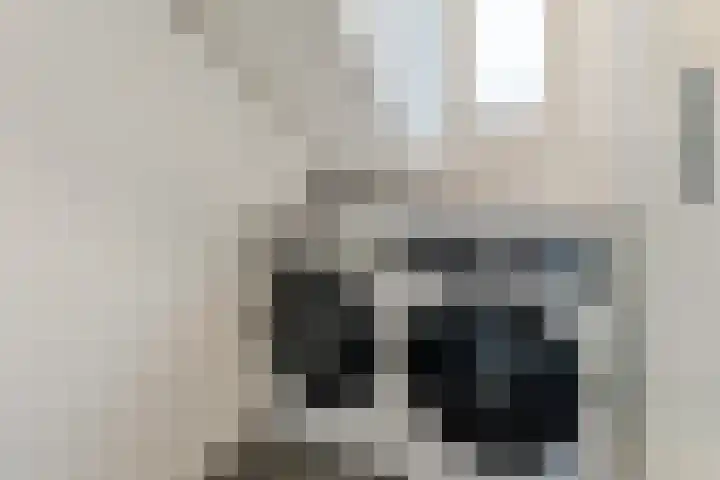 Hanepoelpad 6 Leiden thumbnail 40
