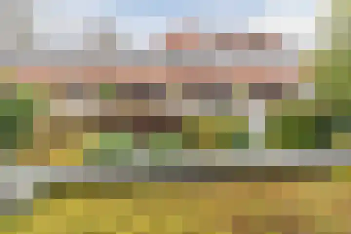 Hanepoelpad 6 Leiden thumbnail 42