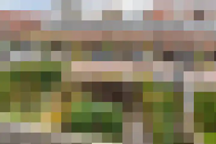 Hanepoelpad 6 Leiden thumbnail 43