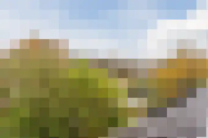Hanepoelpad 6 Leiden thumbnail 44