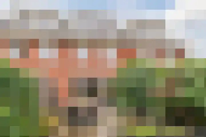 Hanepoelpad 6 Leiden thumbnail 48