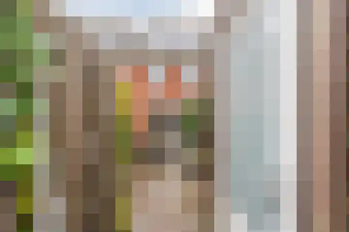 Hanepoelpad 6 Leiden thumbnail 49