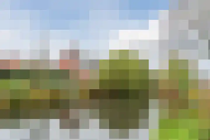 Hanepoelpad 6 Leiden thumbnail 52