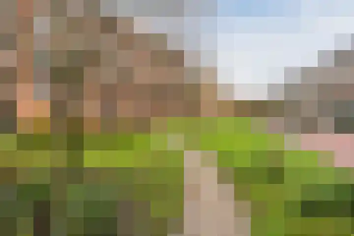 Hanepoelpad 6 Leiden thumbnail 53