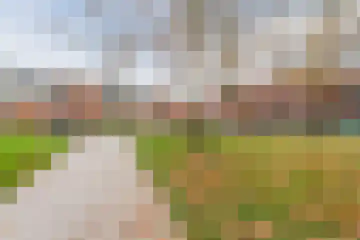 Hanepoelpad 6 Leiden thumbnail 54
