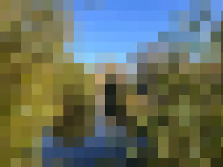 Hanepoelpad 6 Leiden thumbnail 56