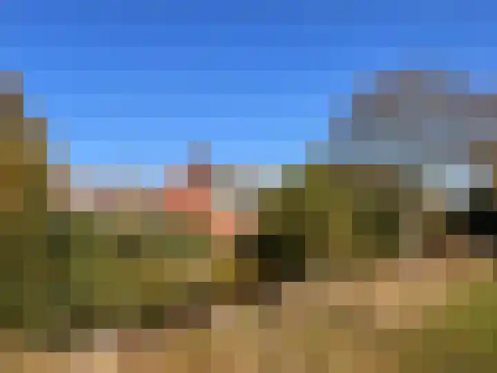 Hanepoelpad 6 Leiden thumbnail 57