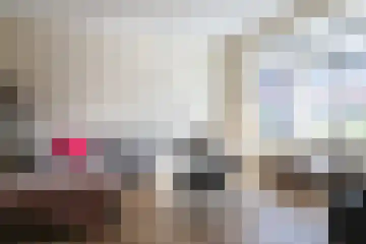Hanerak 9 Harlingen thumbnail 10