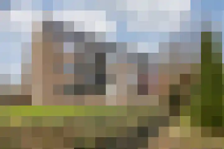 Hanerak 9 Harlingen thumbnail 16
