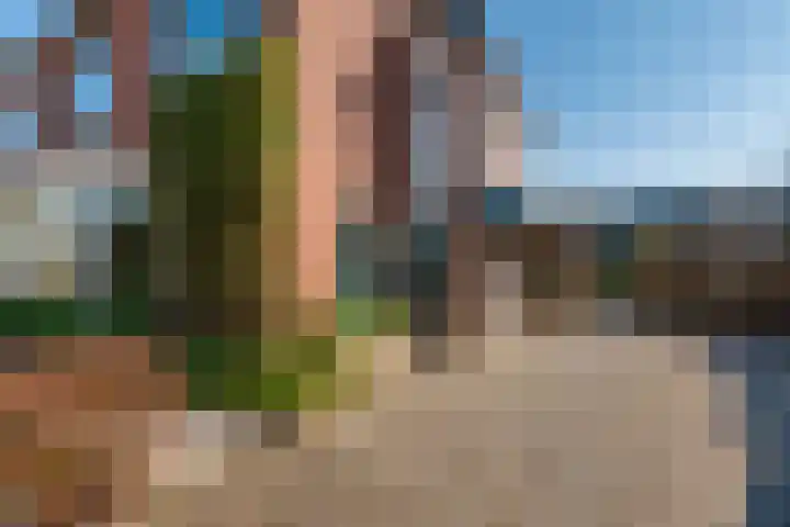 Hanerak 9 Harlingen thumbnail 19